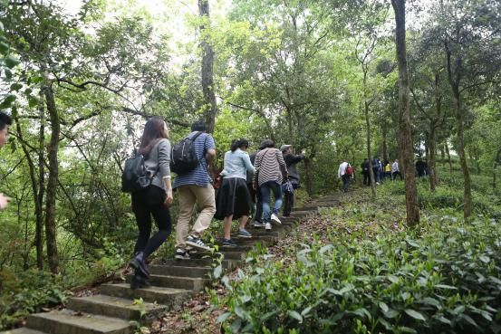 非遺文化節(jié)暨開園儀式圓滿啟動.pg