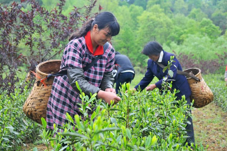 非遺文化節(jié)暨開園儀式圓滿啟動.jpg